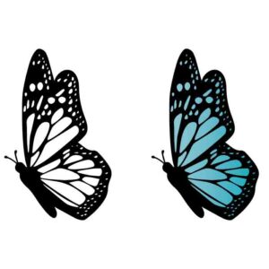 Butterfly blue SVG free download