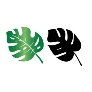 Monstera SVG PNG free cut files download