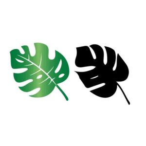 Monstera Free SVG File