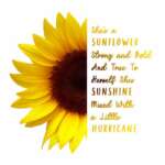 She's a sunflower SVG free download