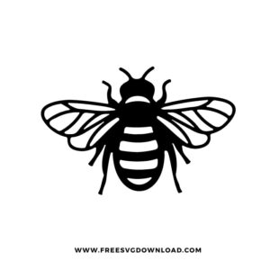 Bee SVG PNG free cut files download