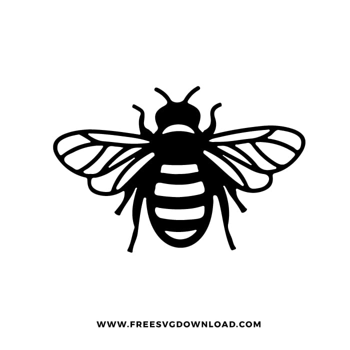 Bee SVG & PNG Download - Free SVG Download animal svg cut files