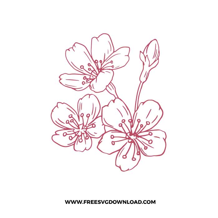 Cherry Blossom SVG & PNG, SVG Free Download, svg files for cricut, flower svg, floral svg, plant svg, gardening svg, spring svg, cherry svg, blossom svg