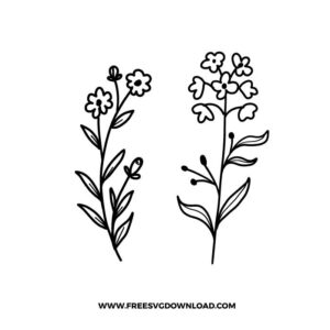 Daisy wildflower SVG & PNG, SVG Free Download, svg files for cricut, separated svg, trending svg, flower svg, floral svg, wildflower svg, botanical svg, spring svg, summer svg, daisy svg, poppy svg, rose svg, sunflower svg, bouquet svg, arrangement svg