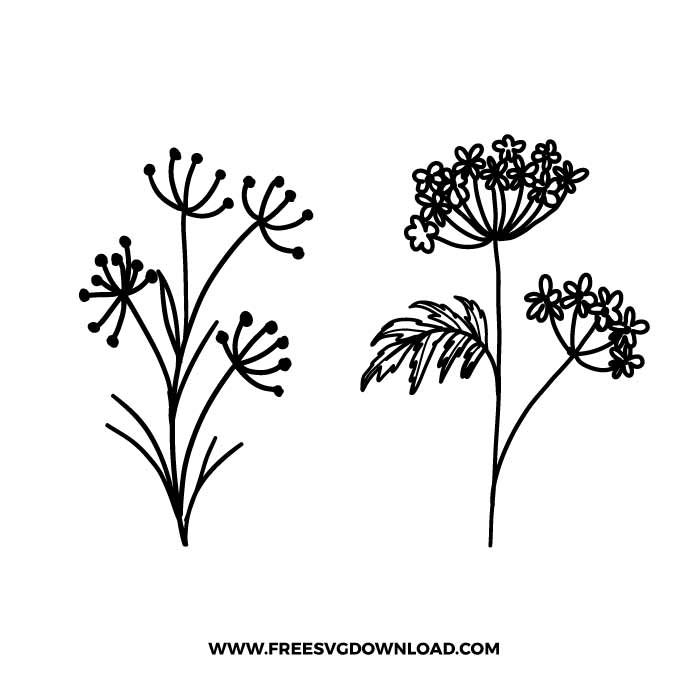 Dandelion Wildflower SVG & PNG, SVG Free Download, svg files for cricut, separated svg, trending svg, flower svg, floral svg, wildflower svg, botanical svg, spring svg, summer svg, daisy svg, poppy svg, rose svg, sunflower svg, bouquet svg, arrangement svg