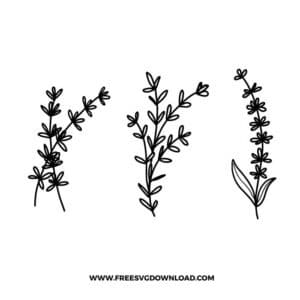 Wildflower SVG & PNG, SVG Free Download, svg files for cricut, separated svg, trending svg, flower svg, floral svg, wildflower svg, botanical svg, spring svg, summer svg, daisy svg, poppy svg, rose svg, sunflower svg, bouquet svg, arrangement svg