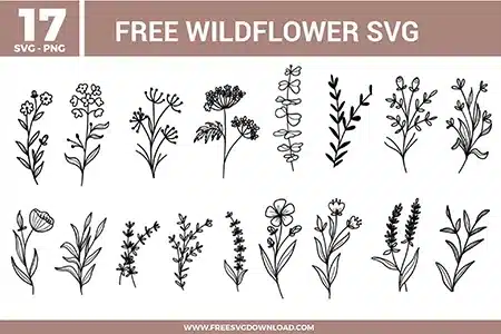 Wildflower SVG bundle featuring hand drawn botanical line art with various wildflower stems, leaves, and minimal floral elements for crafting and cutting projects