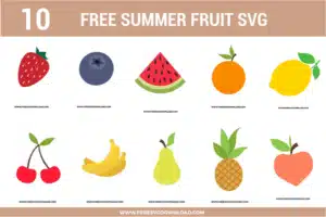 Summer Fruit SVG Free Cut Files