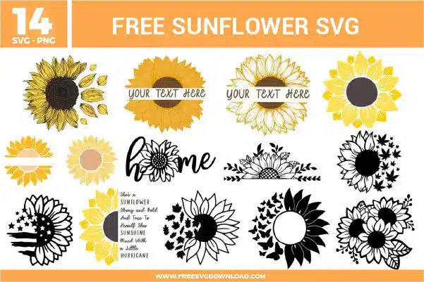 Sunflower Free SVG Files