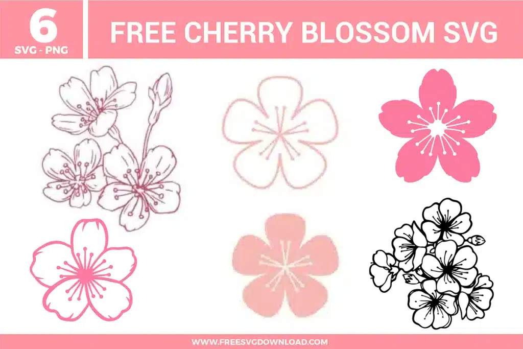 Cherry blossom SVG bundle featuring sakura flower designs in pink tones, line art blossoms, and floral branch illustrations for crafting and cutting projects