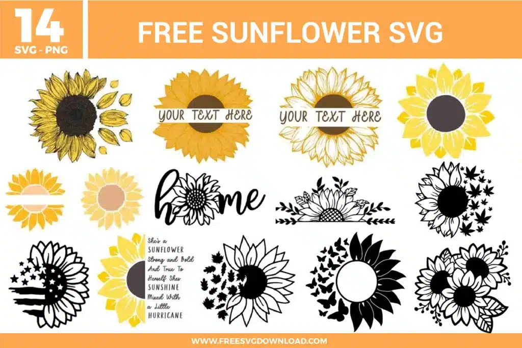Free sunflower SVG files – 14 designs including butterfly sunflower, monogram and patriotic styles for Cricut and Silhouette