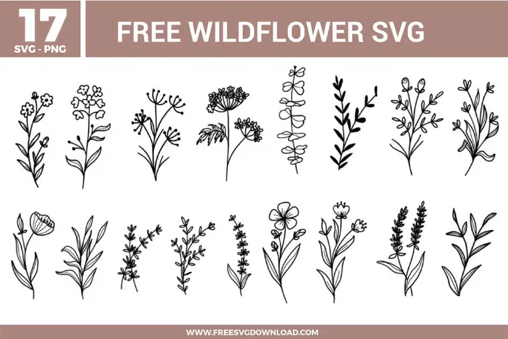Wildflower SVG bundle featuring hand drawn botanical line art with various wildflower stems, leaves, and minimal floral elements for crafting and cutting projects