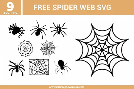 9 spider and web designs featuring realistic spider silhouettes, intricate circular cobwebs, and a corner web frame as free svg files. The black vector graphics range from thick, bold arachnid shapes to delicate, fine-lined web patterns, perfect for creating spooky high-contrast Halloween vinyl decals and window clings.