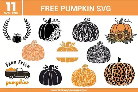 Collection of 11 free svg files featuring decorative fall pumpkin graphics and autumn vector clip art for cutting machines. The grid includes a pumpkin enclosed in a laurel wreath, a black silhouette pumpkin accented with white daisy flowers, a textured pumpkin detailed with intricate botanical vine patterns, an orange pumpkin resting on a bed of sunflowers, a split monogram pumpkin frame template, a black and white geometric mandala pattern pumpkin, a vintage pickup truck layout reading "FARM FRESH pumpkins", and a bold leopard print patterned pumpkin.