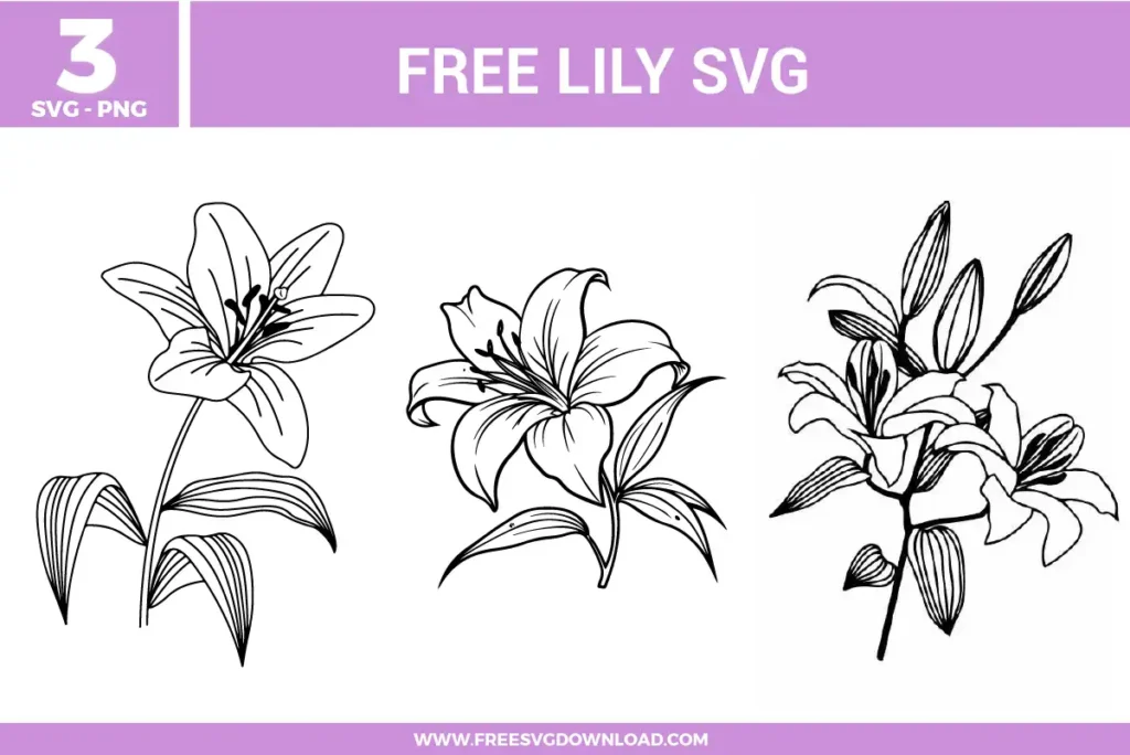 Lily SVG bundle featuring detailed lily flower line art designs with petals, stems, and botanical elements for crafting and cutting projects