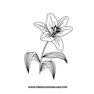 Lily Cricut Free SVG File