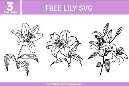 Lily SVG bundle featuring detailed lily flower line art designs with petals, stems, and botanical elements for crafting and cutting projects