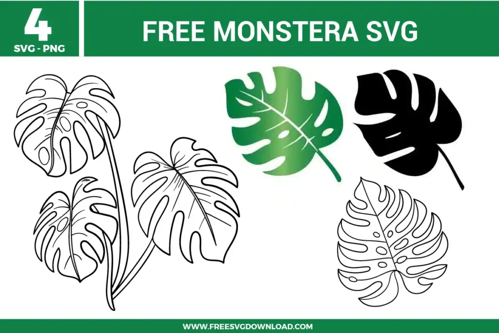 our free svg files featuring tropical monstera deliciosa leaves in various styles, including a large multi-leaf branch, a green gradient leaf silhouette, a solid black silhouette, and a detailed line art outline for botanical Cricut crafts.