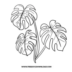 Monstera Cricut Free SVG File