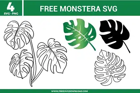 our free svg files featuring tropical monstera deliciosa leaves in various styles, including a large multi-leaf branch, a green gradient leaf silhouette, a solid black silhouette, and a detailed line art outline for botanical Cricut crafts.