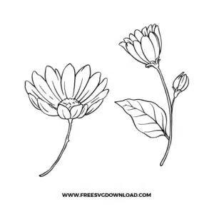 Daisy Flower Outline Free SVG File