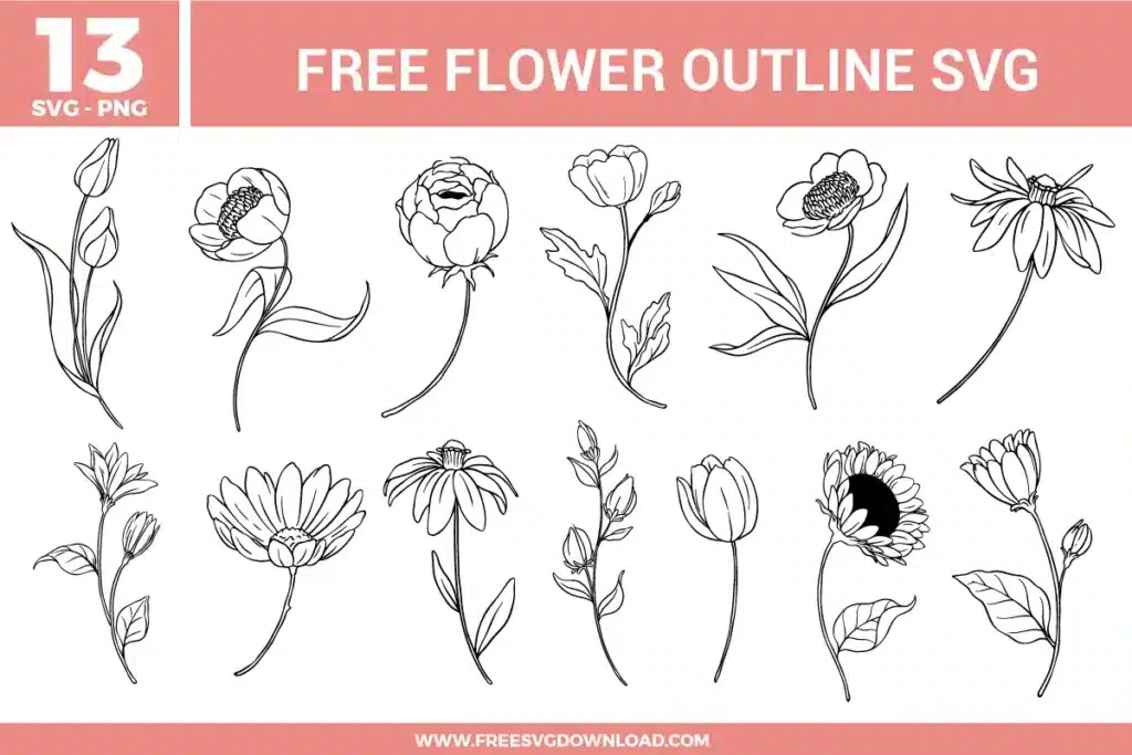 Flower outline SVG bundle featuring hand drawn floral line art designs including tulips, daisies, roses, and botanical stems for crafting and cutting projects