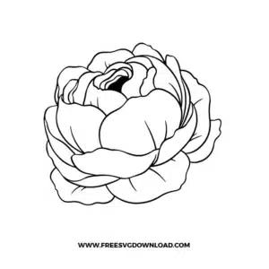 Peony Free SVG File