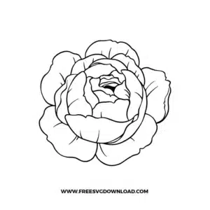 Peony Flower Free SVG File