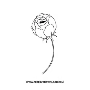 Peony Flower Outline Free SVG File