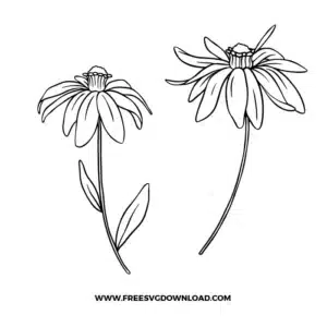 Susan Flower Outline Free SVG File