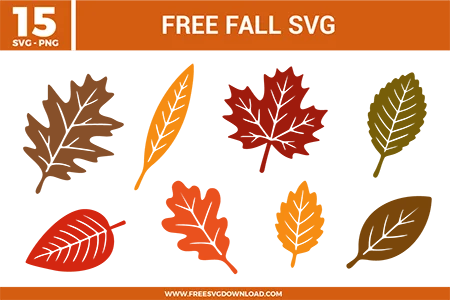 Fall Leaves SVG bundle preview showing fifteen autumn leaf designs with maple leaves, oak leaves, long narrow leaves, red orange brown colors, and simple seasonal graphics for Cricut and Silhouette.