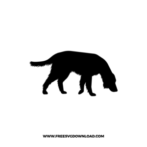 Golden Retriever Sniffing