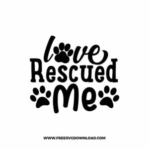 Love Rescued Me
