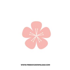 Cherry Blossom