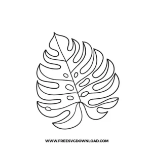 Monstera Leaf