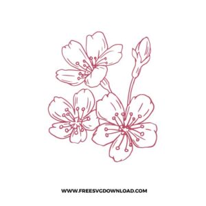 Cherry Blossom