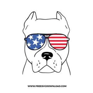 4th of July Pitbull
