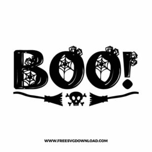 Boo Broom