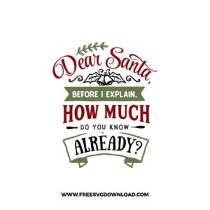 Dear Santa Before I Explain