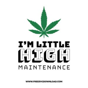 High Maintenance