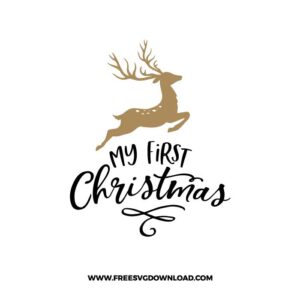 My first Christmas Reindeer