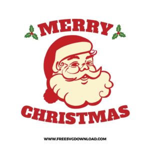 Merry Christmas Santa Face