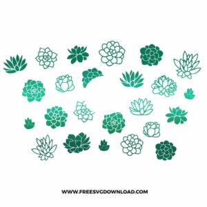 Succulents Starbucks Wrap