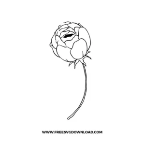 Peony Flower Outline